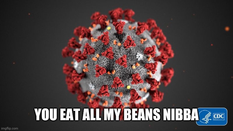 lulz | YOU EAT ALL MY BEANS NIBBA | image tagged in covid 19,coronavirus,covid-19,random | made w/ Imgflip meme maker