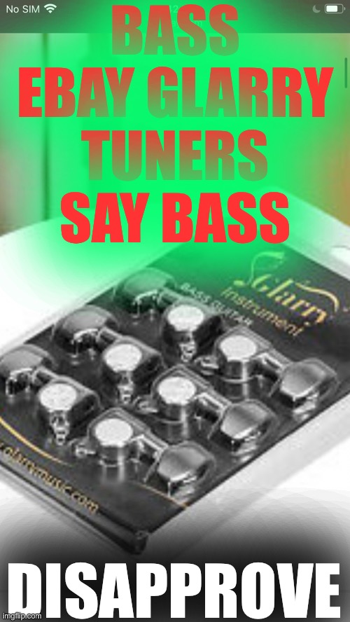 BASS | BASS EBAY GLARRY TUNERS SAY BASS; DISAPPROVE | image tagged in davie504 | made w/ Imgflip meme maker