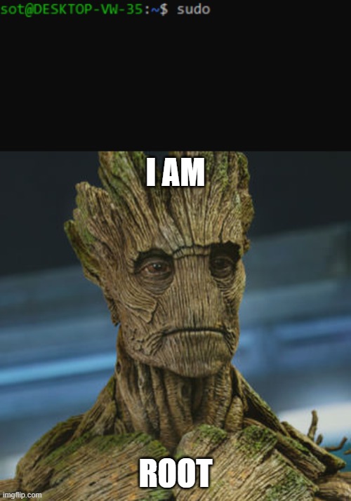 I AM; ROOT | image tagged in i am groot | made w/ Imgflip meme maker