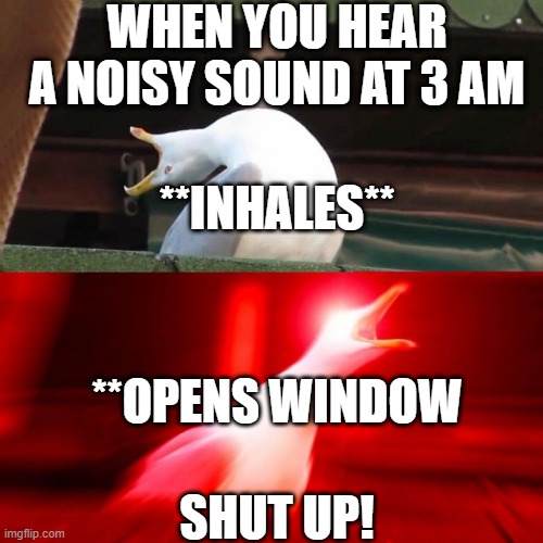 Annoying Neighbour at 3AM | WHEN YOU HEAR A NOISY SOUND AT 3 AM; **INHALES**; **OPENS WINDOW; SHUT UP! | image tagged in inhales seagull | made w/ Imgflip meme maker