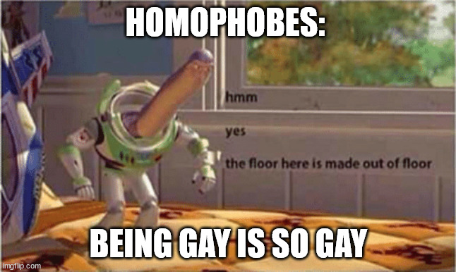 FFS | HOMOPHOBES:; BEING GAY IS SO GAY | image tagged in hmm yes the floor here is made out of floor | made w/ Imgflip meme maker