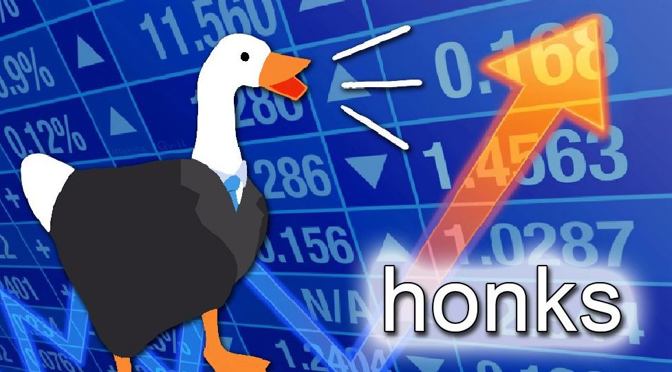 High Quality goose honks Blank Meme Template