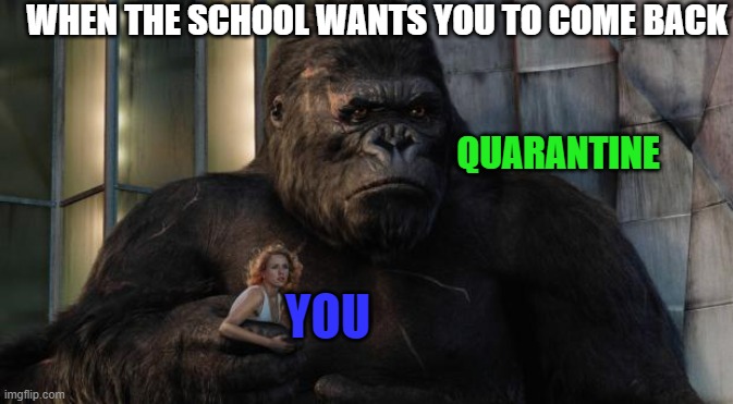 when the school wants you back | WHEN THE SCHOOL WANTS YOU TO COME BACK; QUARANTINE; YOU | image tagged in king kong,quarantine,funny,funny memes,king kong 2005 | made w/ Imgflip meme maker