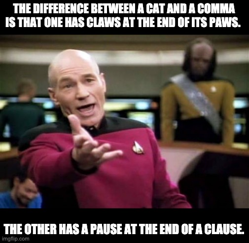 cat comma | THE DIFFERENCE BETWEEN A CAT AND A COMMA IS THAT ONE HAS CLAWS AT THE END OF ITS PAWS. THE OTHER HAS A PAUSE AT THE END OF A CLAUSE. | image tagged in memes,picard wtf | made w/ Imgflip meme maker