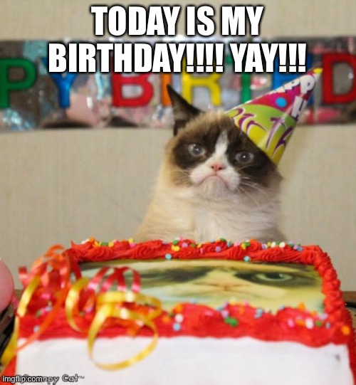 My b-day | TODAY IS MY BIRTHDAY!!!! YAY!!! | image tagged in memes,grumpy cat birthday,grumpy cat | made w/ Imgflip meme maker