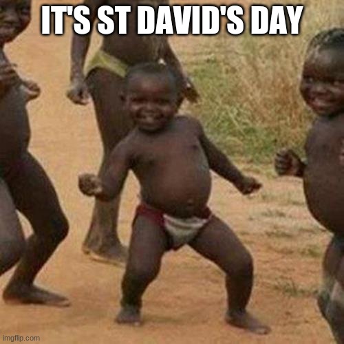 Third World Success Kid | IT'S ST DAVID'S DAY | image tagged in memes,third world success kid | made w/ Imgflip meme maker