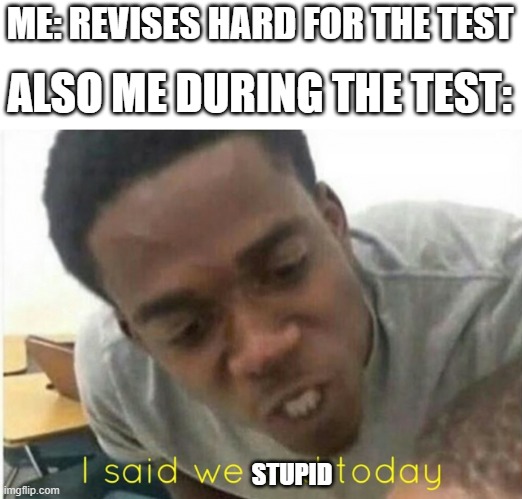 my brain durong a test | ME: REVISES HARD FOR THE TEST; ALSO ME DURING THE TEST:; STUPID | image tagged in i said we ____ today | made w/ Imgflip meme maker