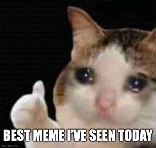 sad thumbs up cat | BEST MEME I’VE SEEN TODAY | image tagged in sad thumbs up cat | made w/ Imgflip meme maker