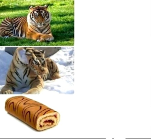 High Quality Tiger to snack Blank Meme Template
