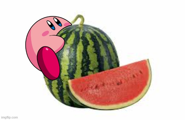 melon | image tagged in m e l o n | made w/ Imgflip meme maker