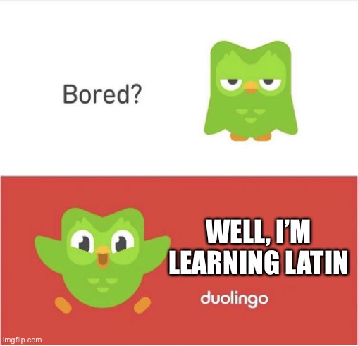 True fact. | WELL, I’M LEARNING LATIN | image tagged in duolingo bored | made w/ Imgflip meme maker