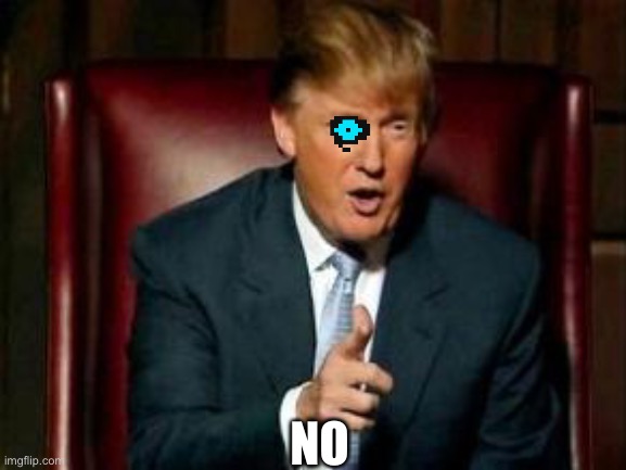 Donald Trump | NO | image tagged in donald trump | made w/ Imgflip meme maker