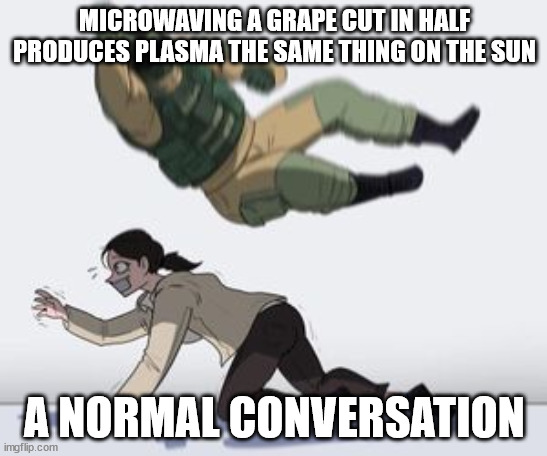 Normal conversation | MICROWAVING A GRAPE CUT IN HALF PRODUCES PLASMA THE SAME THING ON THE SUN; A NORMAL CONVERSATION | image tagged in normal conversation | made w/ Imgflip meme maker