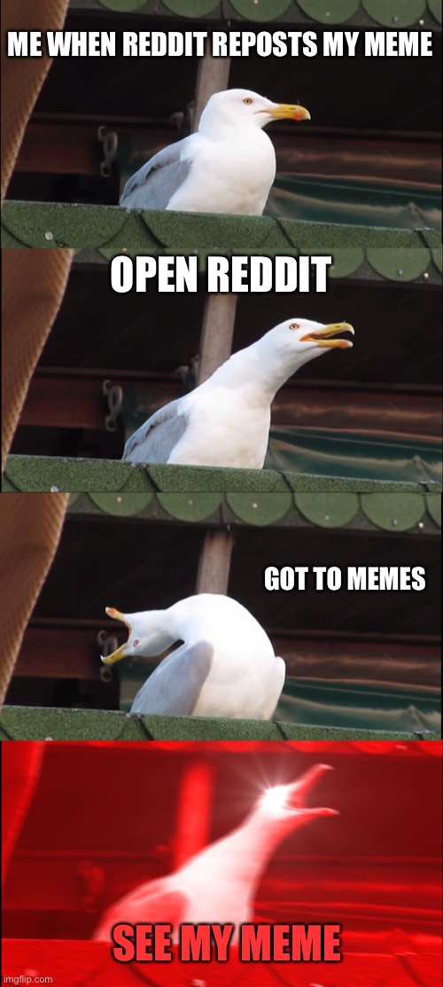 Why Reddit Why? | ME WHEN REDDIT REPOSTS MY MEME; OPEN REDDIT; GOT TO MEMES; SEE MY MEME | image tagged in memes,inhaling seagull | made w/ Imgflip meme maker