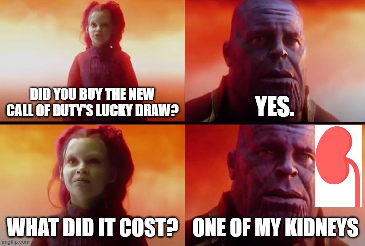 thanos what did it cost | DID YOU BUY THE NEW CALL OF DUTY'S LUCKY DRAW? YES. WHAT DID IT COST? ONE OF MY KIDNEYS | image tagged in thanos what did it cost | made w/ Imgflip meme maker