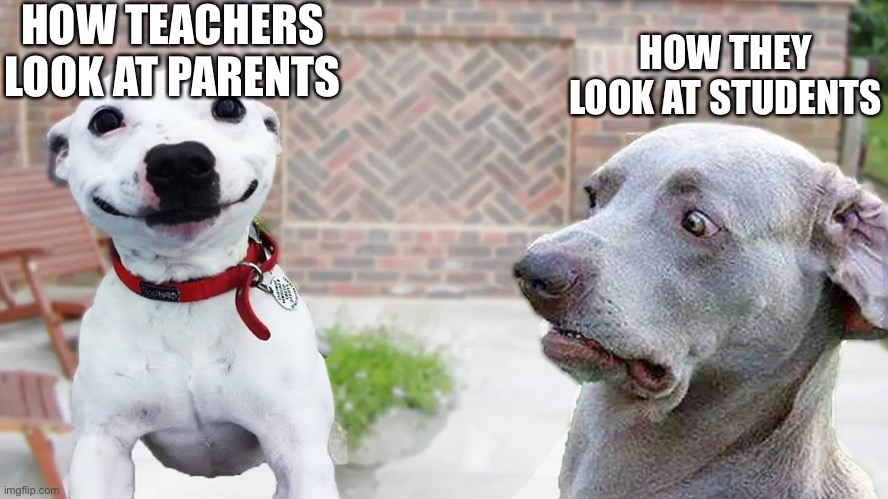 Doge | HOW TEACHERS LOOK AT PARENTS; HOW THEY LOOK AT STUDENTS | image tagged in yes,memes,doggos,imgflip | made w/ Imgflip meme maker