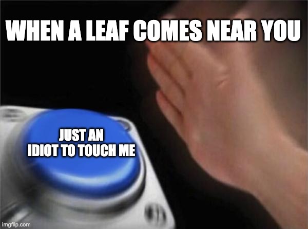 Blank Nut Button | WHEN A LEAF COMES NEAR YOU; JUST AN IDIOT TO TOUCH ME | image tagged in memes,blank nut button | made w/ Imgflip meme maker