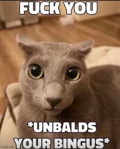 BINGUS | made w/ Imgflip meme maker