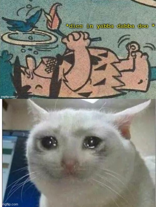 image tagged in dies in yabba dabba doo,crying cat | made w/ Imgflip meme maker