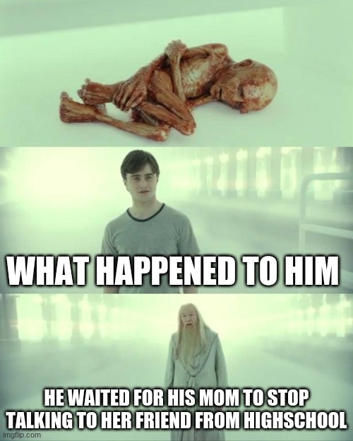 Dead Baby Voldemort / What Happened To Him | WHAT HAPPENED TO HIM; HE WAITED FOR HIS MOM TO STOP TALKING TO HER FRIEND FROM HIGH SCHOOL | image tagged in dead baby voldemort / what happened to him | made w/ Imgflip meme maker