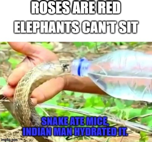 a glass of water would have been fine but this... |  ROSES ARE RED | image tagged in blank white template,indian,snek,snake,snakes,rattlesnake | made w/ Imgflip meme maker