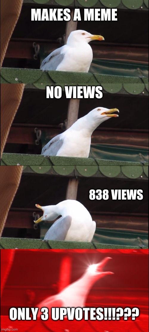 wow | MAKES A MEME; NO VIEWS; 838 VIEWS; ONLY 3 UPVOTES!!!??? | image tagged in memes,inhaling seagull | made w/ Imgflip meme maker