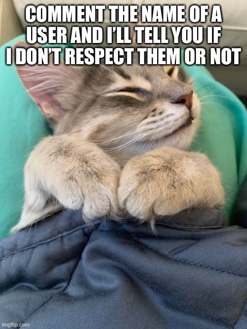 COMMENT THE NAME OF A USER AND I’LL TELL YOU IF I DON’T RESPECT THEM OR NOT | made w/ Imgflip meme maker