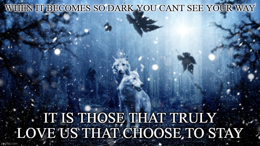 In the dark | WHEN IT BECOMES SO DARK YOU CANT SEE YOUR WAY; IT IS THOSE THAT TRULY LOVE US THAT CHOOSE TO STAY | image tagged in love,true love | made w/ Imgflip meme maker