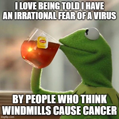 But That's None Of My Business | I LOVE BEING TOLD I HAVE AN IRRATIONAL FEAR OF A VIRUS; BY PEOPLE WHO THINK WINDMILLS CAUSE CANCER | image tagged in memes,but that's none of my business,kermit the frog | made w/ Imgflip meme maker