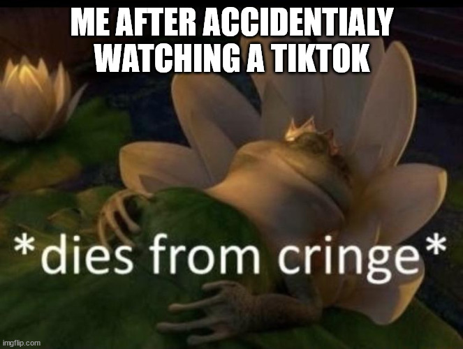 Dies from cringe | ME AFTER ACCIDENTIALY WATCHING A TIKTOK | image tagged in dies from cringe | made w/ Imgflip meme maker
