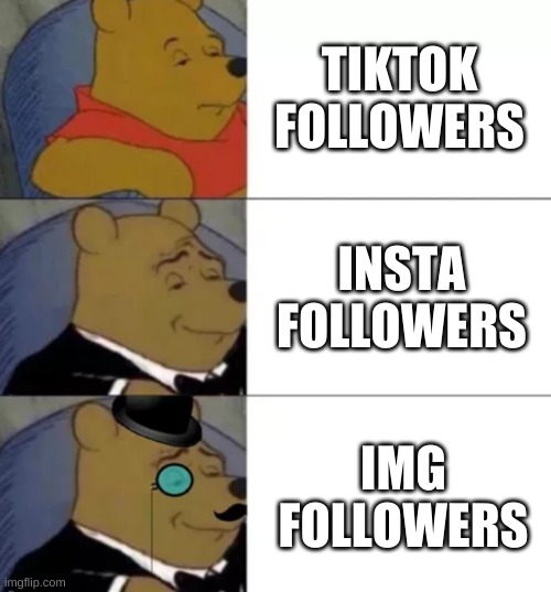 true | TIKTOK FOLLOWERS; INSTA FOLLOWERS; IMG FOLLOWERS | image tagged in fancy pooh | made w/ Imgflip meme maker