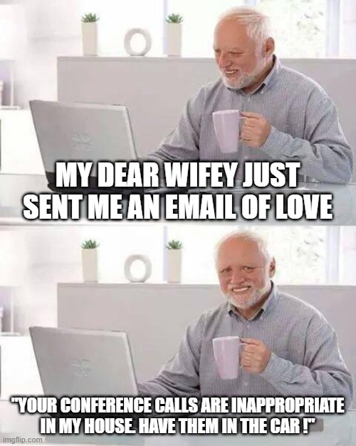 wifey's love | MY DEAR WIFEY JUST SENT ME AN EMAIL OF LOVE; "YOUR CONFERENCE CALLS ARE INAPPROPRIATE IN MY HOUSE. HAVE THEM IN THE CAR !" | image tagged in memes,hide the pain harold | made w/ Imgflip meme maker