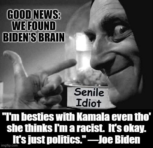 Oh, those crazy Democrats... | "I'm besties with Kamala even tho'
she thinks I'm a racist.  It's okay.
It's just politics." —Joe Biden | image tagged in vince vance,joe biden,young frankenstein,marty feldman,politics,brain | made w/ Imgflip meme maker