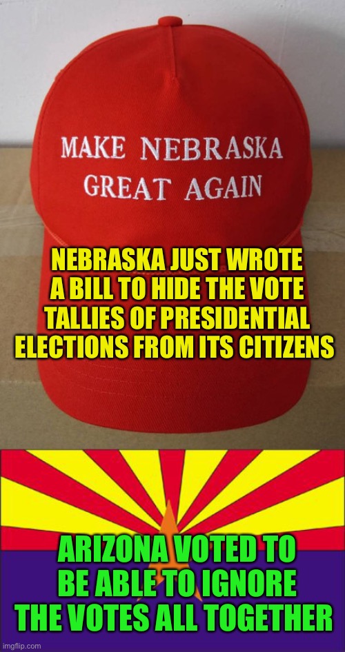 Because they want one party rule like China, Russia and North Korea (and they wonder why real Americans don’t vote Republican) | NEBRASKA JUST WROTE A BILL TO HIDE THE VOTE TALLIES OF PRESIDENTIAL ELECTIONS FROM ITS CITIZENS; ARIZONA VOTED TO BE ABLE TO IGNORE THE VOTES ALL TOGETHER | image tagged in nebraska,arizona rigged | made w/ Imgflip meme maker