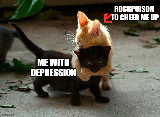 kitten hug | ME WITH DEPRESSION ROCKPOISON  TO CHEER ME UP | image tagged in kitten hug | made w/ Imgflip meme maker