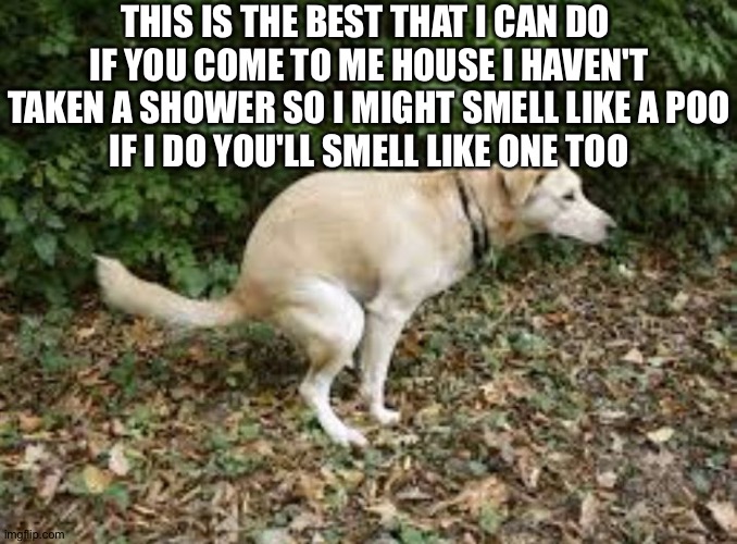 Lol | THIS IS THE BEST THAT I CAN DO 
IF YOU COME TO ME HOUSE I HAVEN'T TAKEN A SHOWER SO I MIGHT SMELL LIKE A POO
IF I DO YOU'LL SMELL LIKE ONE TOO | image tagged in dog pooping | made w/ Imgflip meme maker