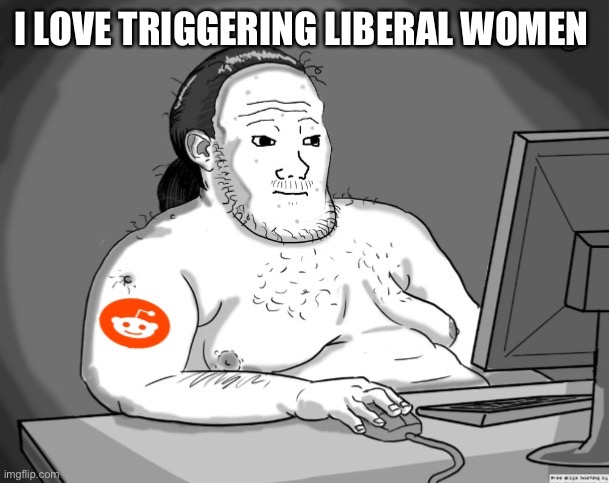 Average Redditor | I LOVE TRIGGERING LIBERAL WOMEN | image tagged in average redditor | made w/ Imgflip meme maker