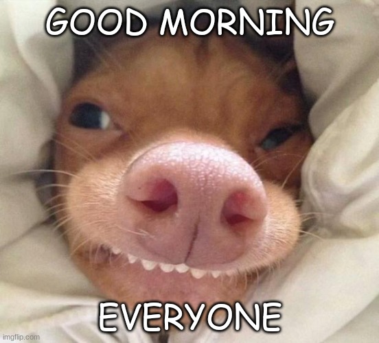 good morning | GOOD MORNING; EVERYONE | image tagged in good morning | made w/ Imgflip meme maker