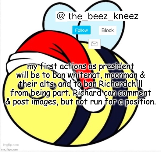 beez announcement | my first actions as president will be to ban whitenat, moonman & their alts, and to ban Richardchill from being part. Richard can comment & post images, but not run for a position. | image tagged in beez announcement | made w/ Imgflip meme maker