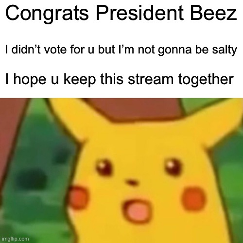 Surprised Pikachu Meme | Congrats President Beez; I didn’t vote for u but I’m not gonna be salty; I hope u keep this stream together | image tagged in memes,surprised pikachu | made w/ Imgflip meme maker