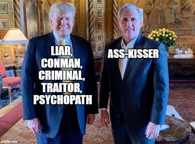 The Majority of Americans See the Truth | ASS-KISSER; LIAR, 
CONMAN, 
CRIMINAL, 
TRAITOR, 
PSYCHOPATH | image tagged in liars,corrupt,traitors | made w/ Imgflip meme maker