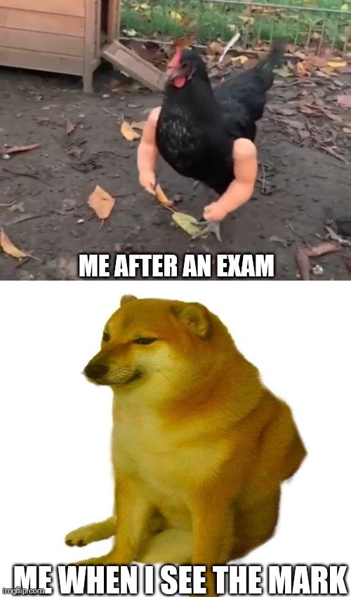 Exams | ME AFTER AN EXAM; ME WHEN I SEE THE MARK | image tagged in memes | made w/ Imgflip meme maker