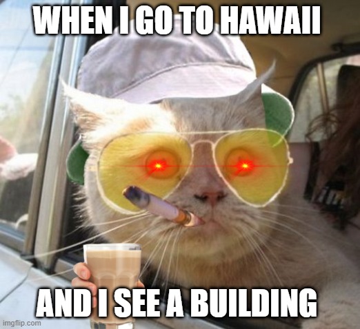 hawwi | WHEN I GO TO HAWAII; AND I SEE A BUILDING | image tagged in memes,fear and loathing cat | made w/ Imgflip meme maker
