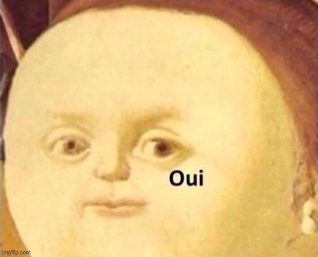 oui | image tagged in oui | made w/ Imgflip meme maker