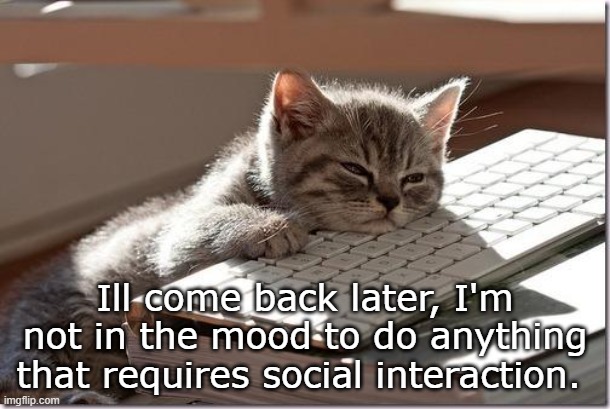 -_- | Ill come back later, I'm not in the mood to do anything that requires social interaction. | image tagged in bored keyboard cat | made w/ Imgflip meme maker