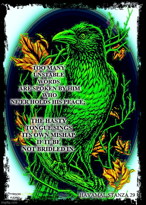 Havamal | TOO MANY UNSTABLE WORDS
 ARE SPOKEN BY HIM
 WHO NE'ER HOLDS HIS PEACE;; THE HASTY TONGUE SINGS
 ITS OWN MISHAP 
IF IT BE NOT BRIDLED IN. HAVAMAL STANZA 29; TYRSON
FJORD | image tagged in odin,faith,wise man,pagan,heathen | made w/ Imgflip meme maker