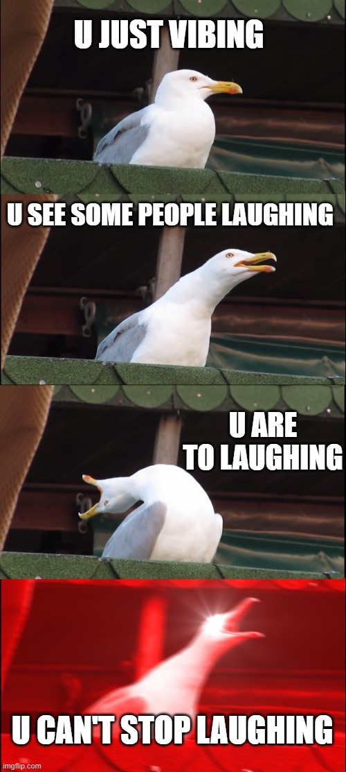 the seagull laughing | U JUST VIBING; U SEE SOME PEOPLE LAUGHING; U ARE TO LAUGHING; U CAN'T STOP LAUGHING | image tagged in memes,inhaling seagull | made w/ Imgflip meme maker