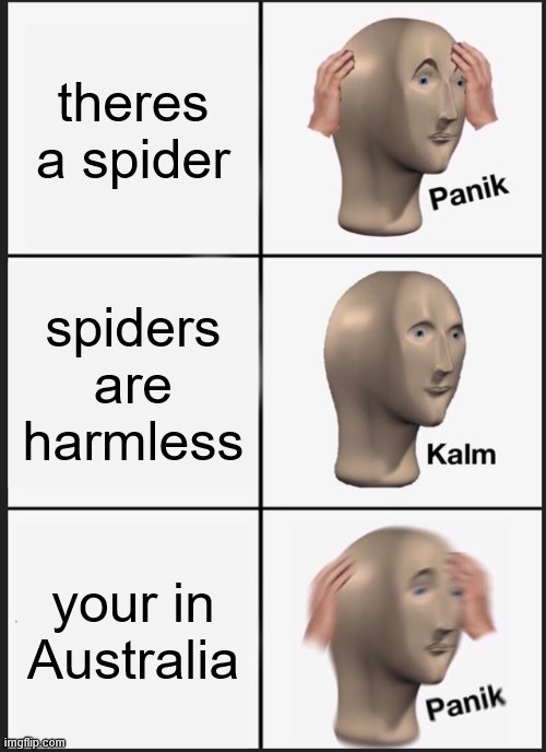 SkRrT | theres a spider; spiders are harmless; your in Australia | image tagged in memes,panik kalm panik | made w/ Imgflip meme maker