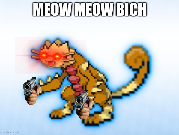 Meow Meow | MEOW MEOW BICH | image tagged in meow | made w/ Imgflip meme maker