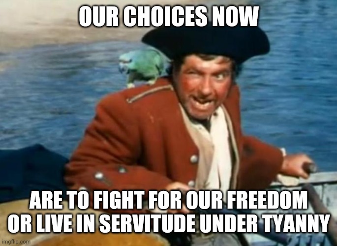 Freedom | OUR CHOICES NOW; ARE TO FIGHT FOR OUR FREEDOM OR LIVE IN SERVITUDE UNDER TYANNY | image tagged in long john silver | made w/ Imgflip meme maker